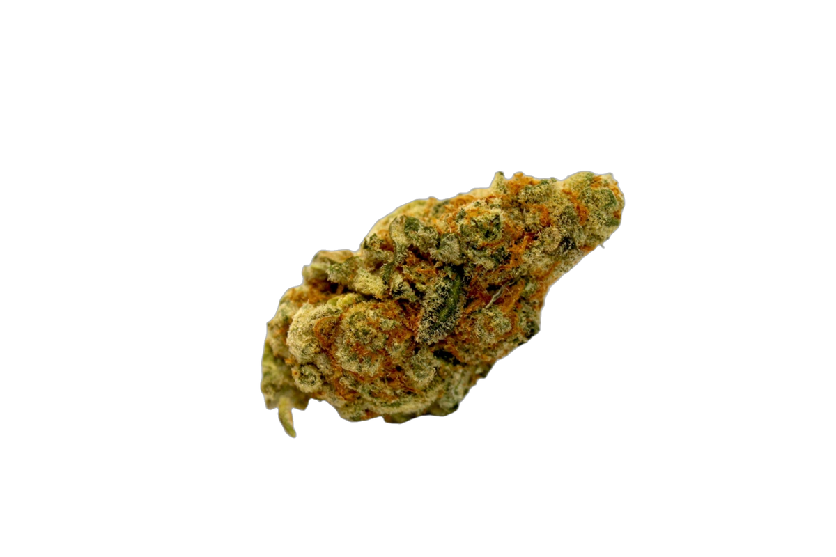 Gorilla Cookies Joint pre-rolled cannabis