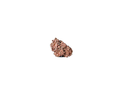 Gorilla Glue (Living Soil) cannabis flower bud