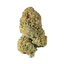 Grandpa's Endgame - Cannibisters Limited Collection cannabis flower bud