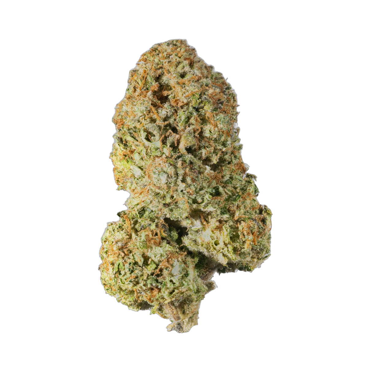 Grandpa's Endgame - Cannibisters Limited Collection cannabis flower bud