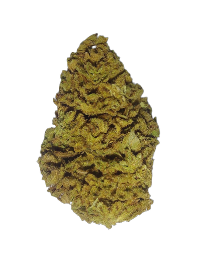 Grape Diamonds (Organic Living Soil) cannabis flower bud