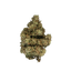 Greendoor Cherry Lime Reserve cannabis flower bud