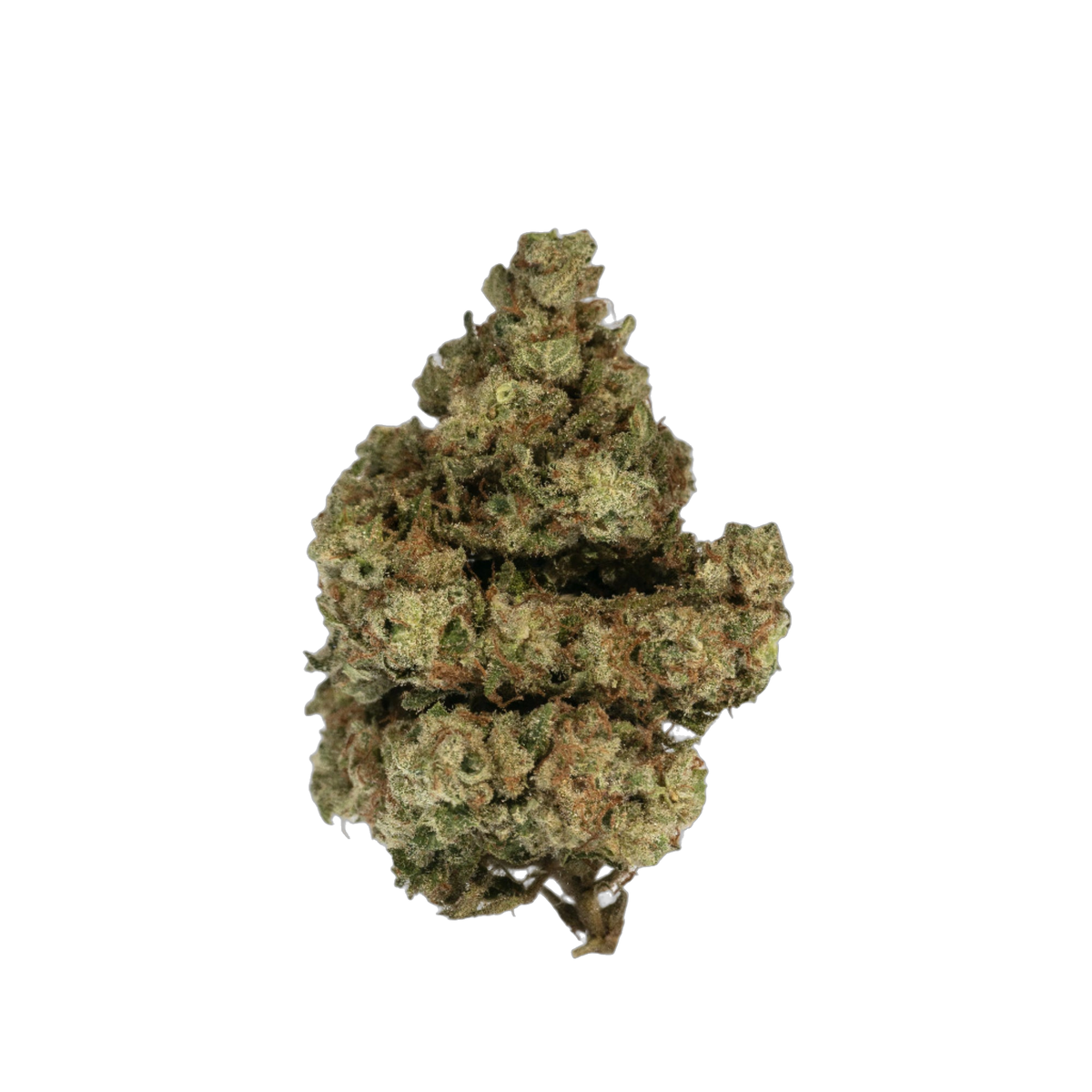 Greendoor Cherry Lime Reserve cannabis flower bud