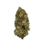 Greendoor Dedoverde Haze cannabis flower bud