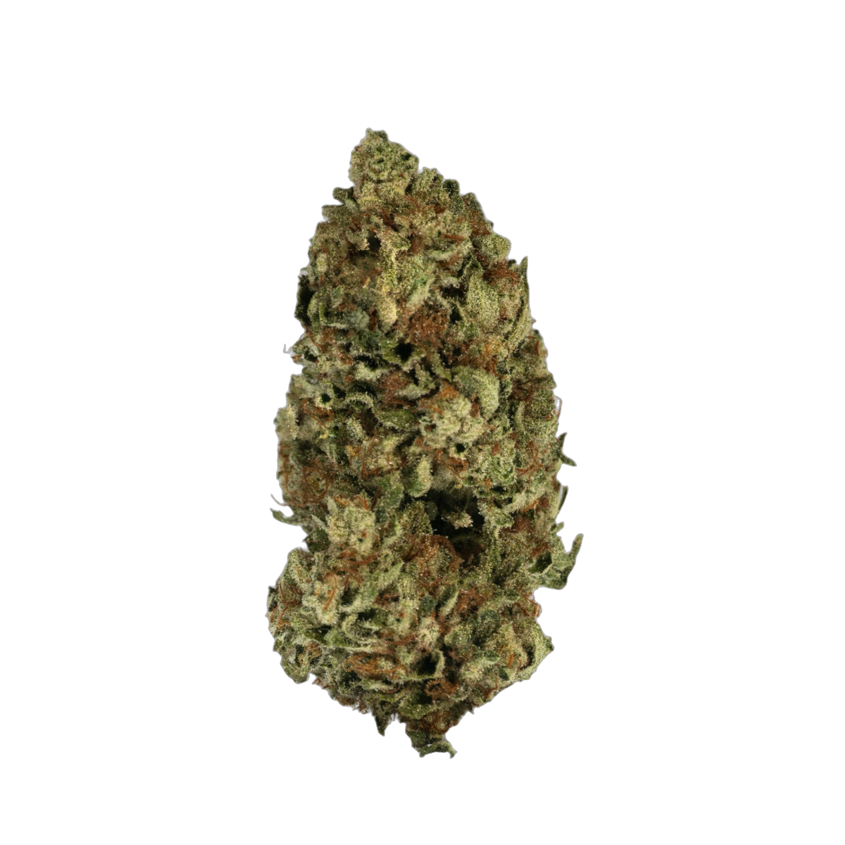 Greendoor Dedoverde Haze cannabis flower bud