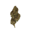 Greendoor Ghost Of Leroy cannabis flower bud