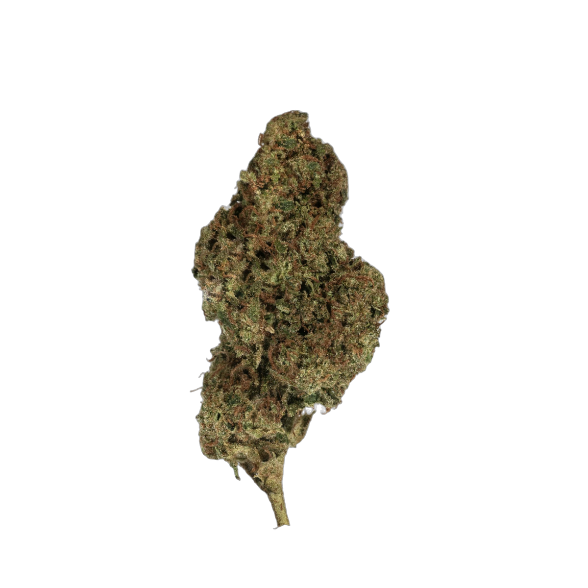Greendoor Ghost Of Leroy cannabis flower bud