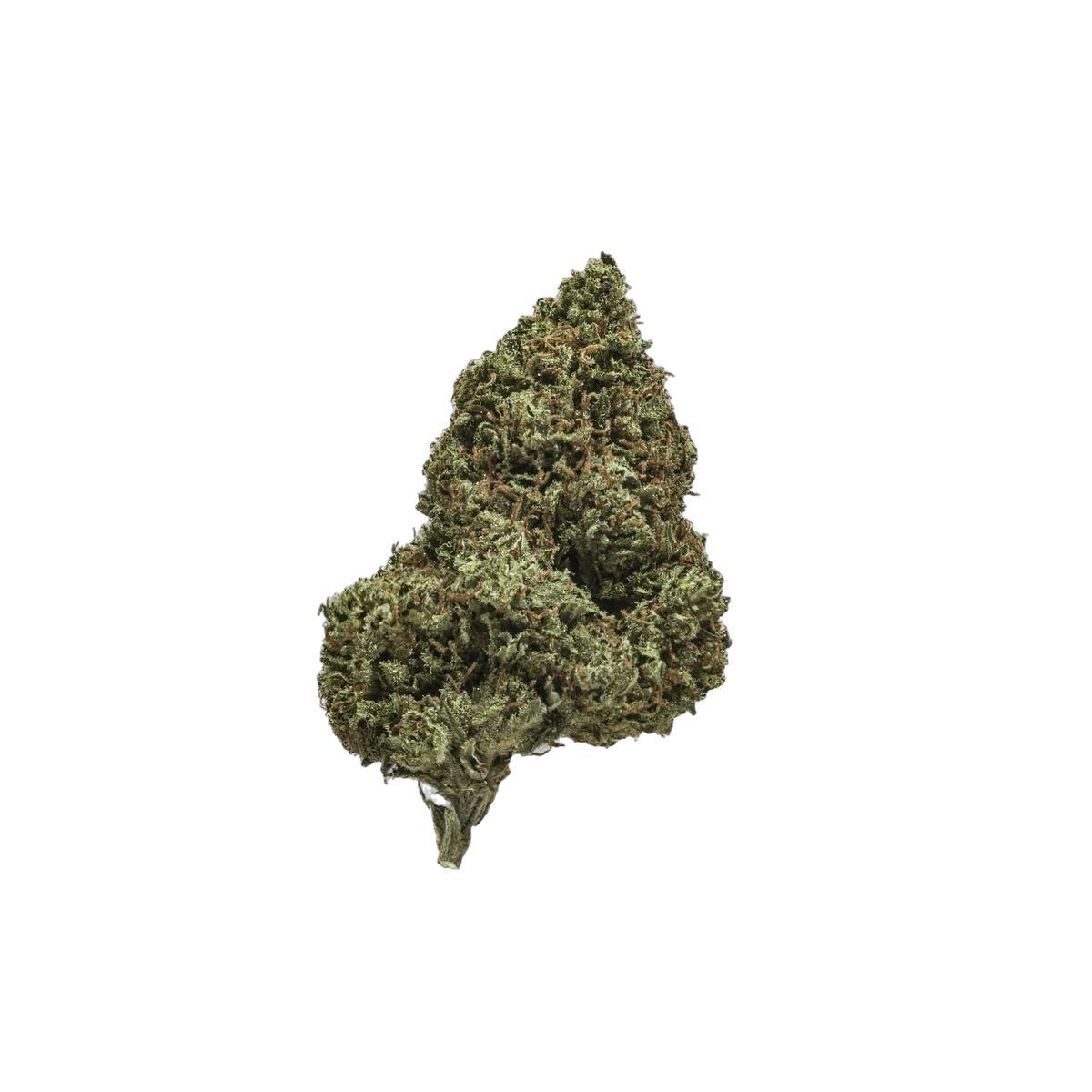 Greendoor - Grand Daddy cannabis flower bud