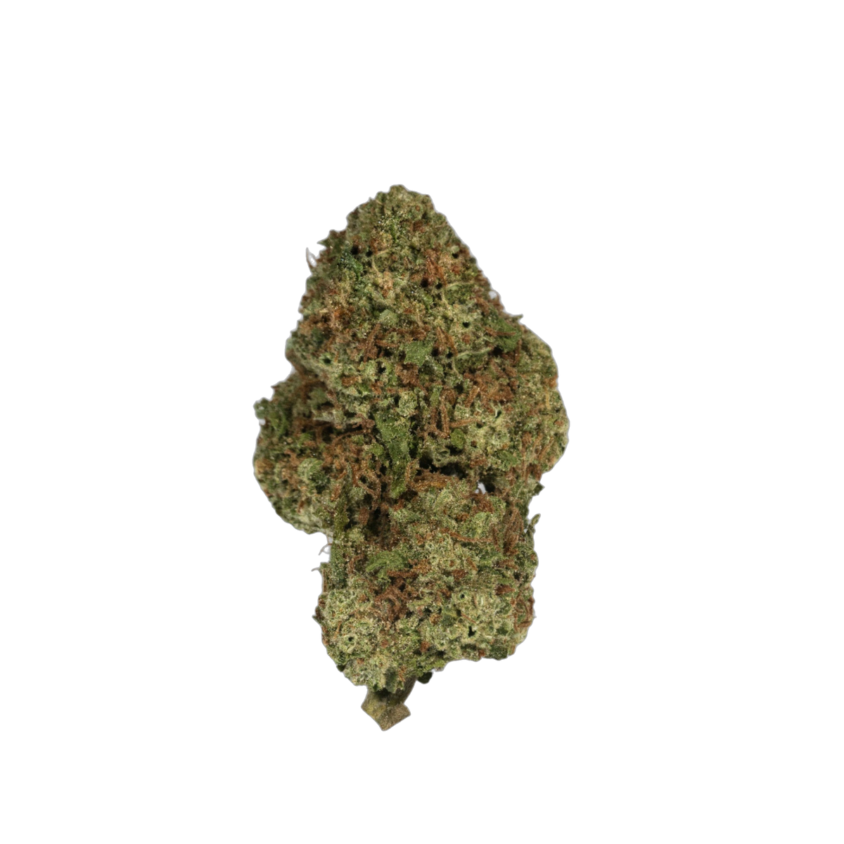 Greendoor Super Cheese cannabis flower bud