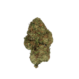 Greendoor Super Cheese cannabis flower bud