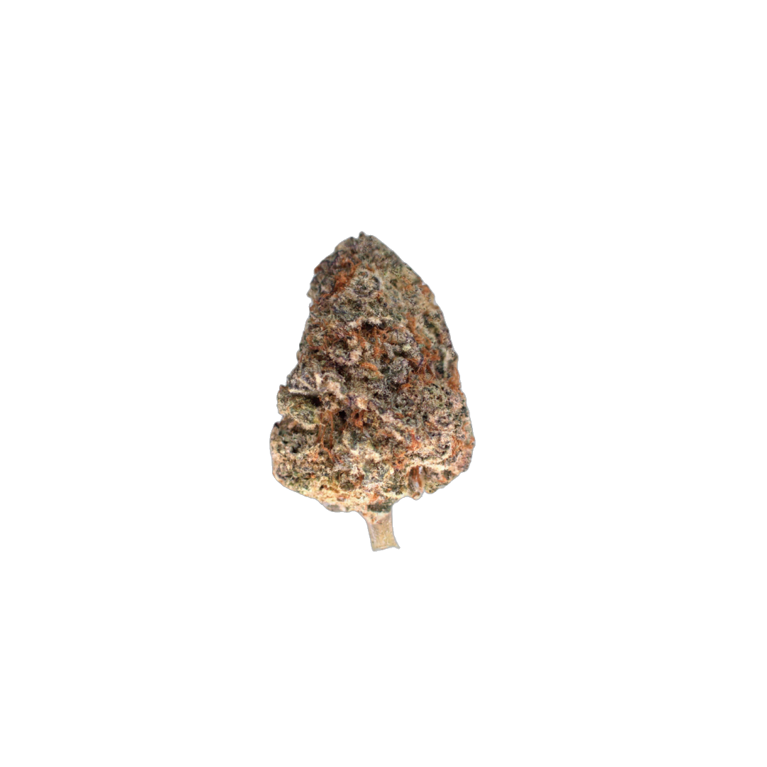 Hawaiian Punch cannabis flower bud