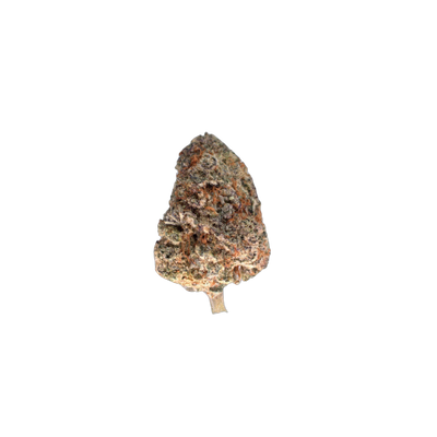 Hawaiian Punch cannabis flower bud