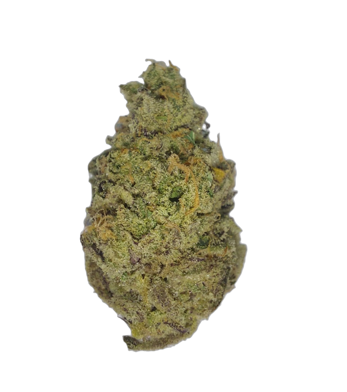 Hot Sauce cannabis flower bud