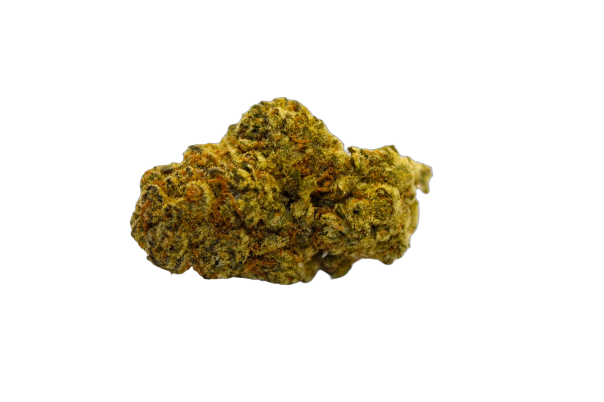 Hyper Glue cannabis flower bud