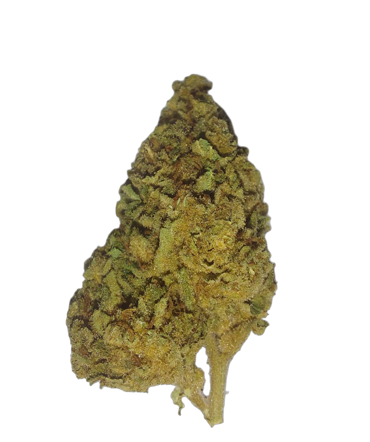Ice Cream Cake (Organic Living Soil) cannabis flower bud