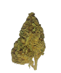 Ice Cream Cake (Organic Living Soil) cannabis flower bud