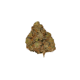 Ice Cream Cake cannabis flower bud