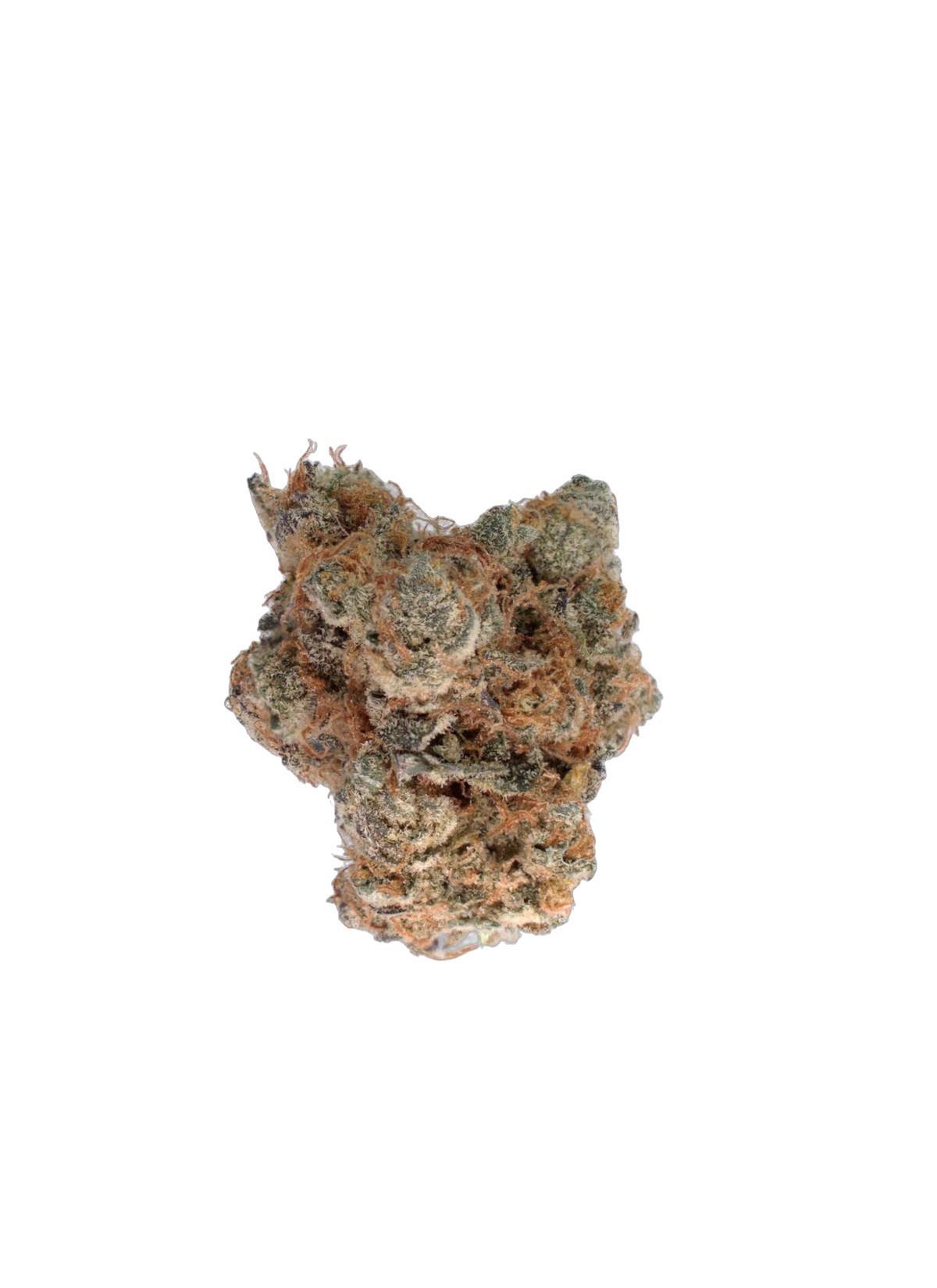 Ice Cream Runtz cannabis flower bud