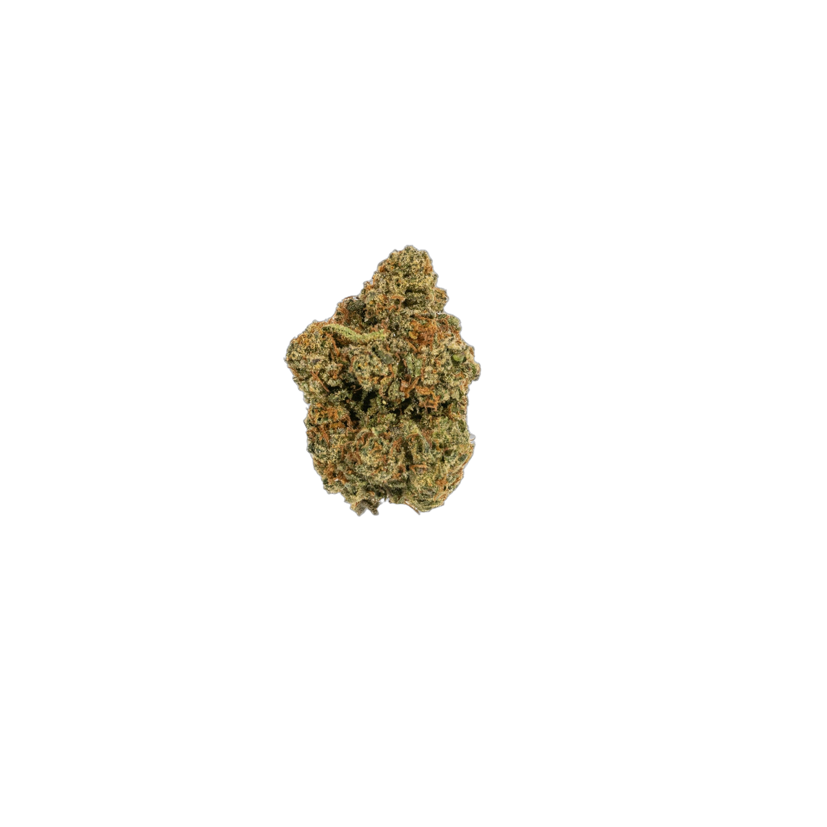 Jack Harer cannabis flower bud