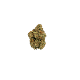Jack Harer cannabis flower bud