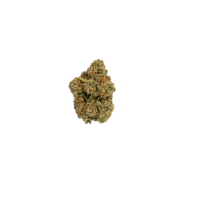 Jack Harer cannabis flower bud