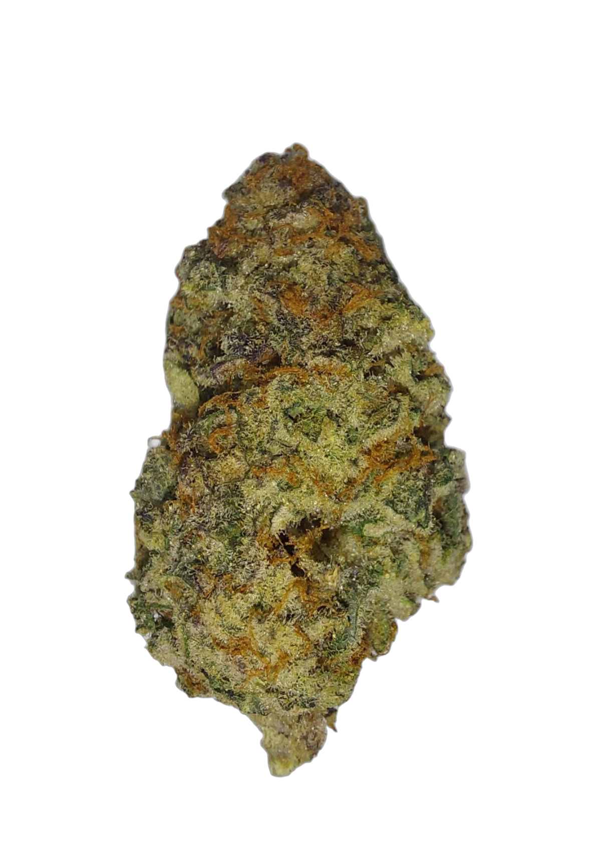 JBL 9 cannabis flower bud