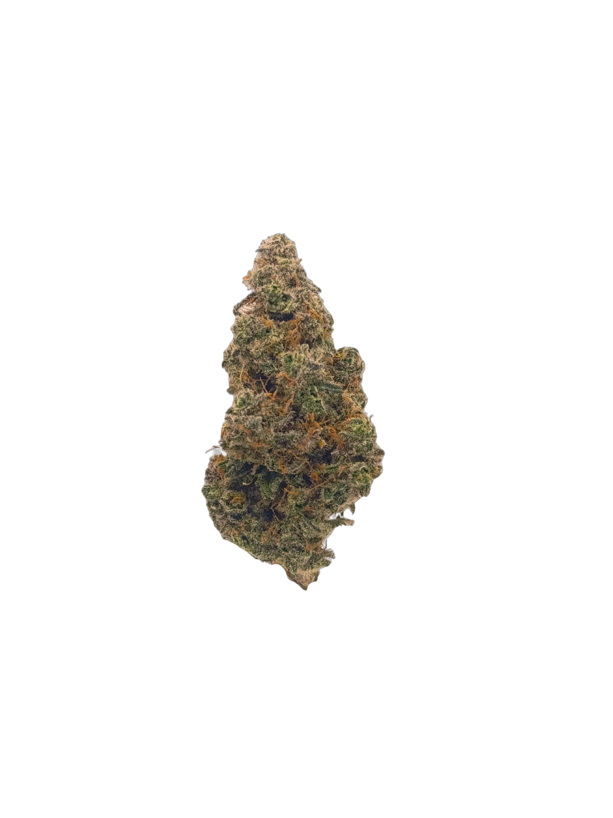 Jedi Mind Fuck cannabis flower bud