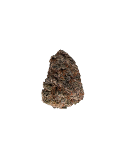 Jelly Breath cannabis flower bud