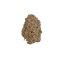 Katrina cannabis flower bud