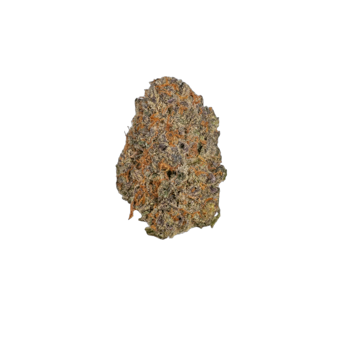 Katrina cannabis flower bud