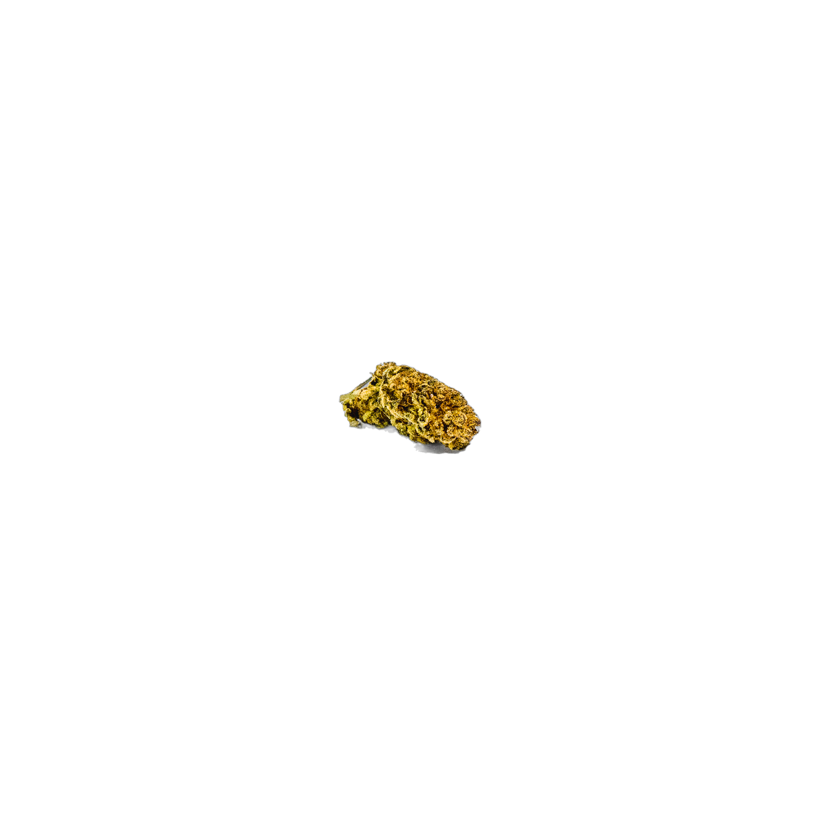 Kinder Kush cannabis flower bud
