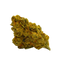 Kush Cake Joints cannabis cannabis | Cannibisters Cape Town