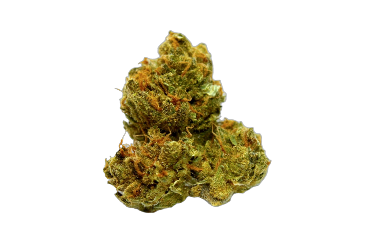 Laughing Buddha cannabis flower bud