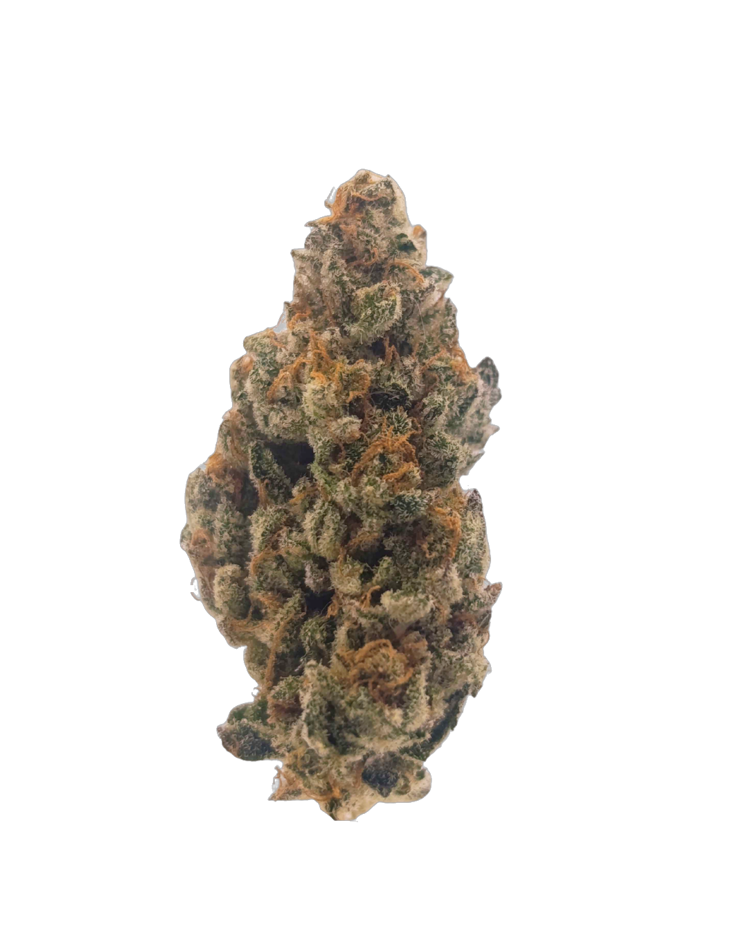 Lava Colada cannabis flower bud
