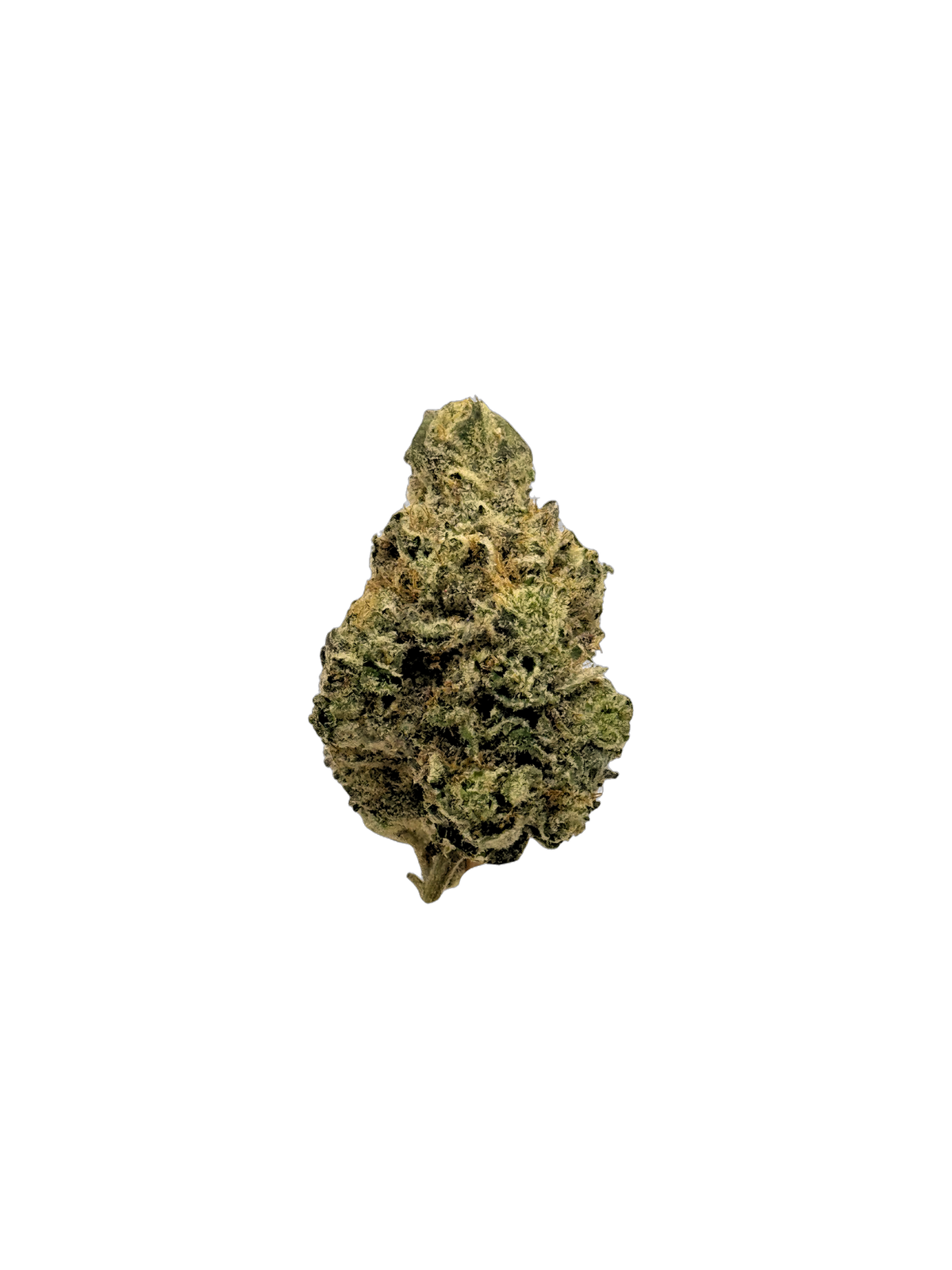 Lemon Tornado cannabis flower bud