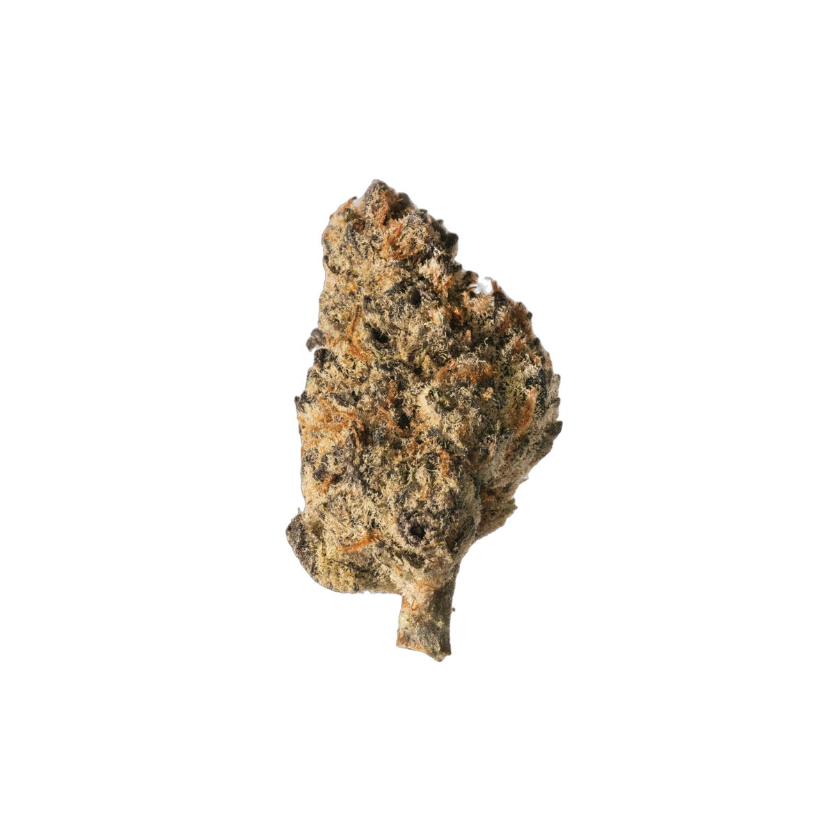Lily Koi cannabis flower bud