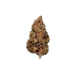 Dark Phoenix (Organic Living Soil) cannabis flower bud