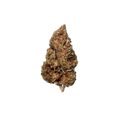 Dark Phoenix (Organic Living Soil) cannabis flower bud