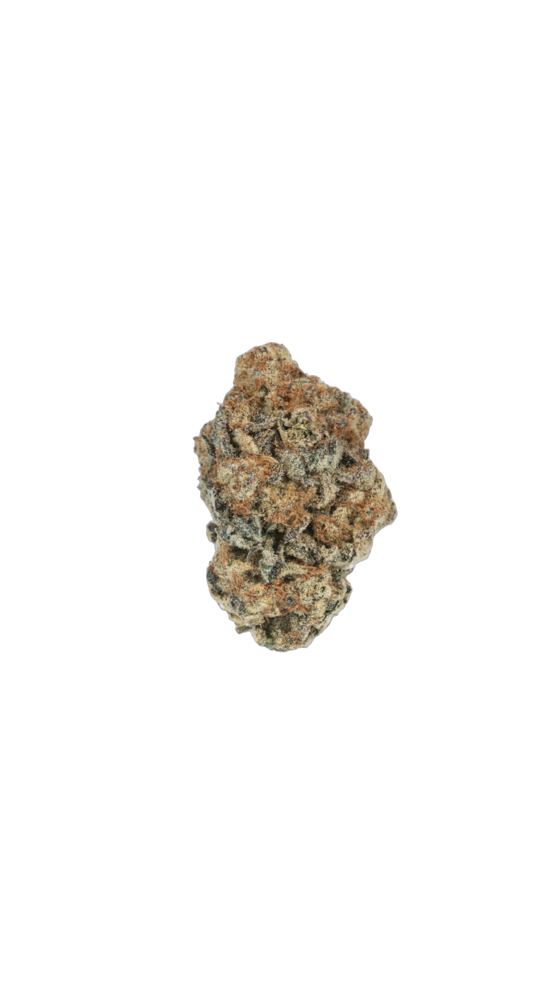 London Poundcake cannabis flower bud