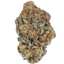 London Poundcake indica cannabis | Cannibisters Cape Town