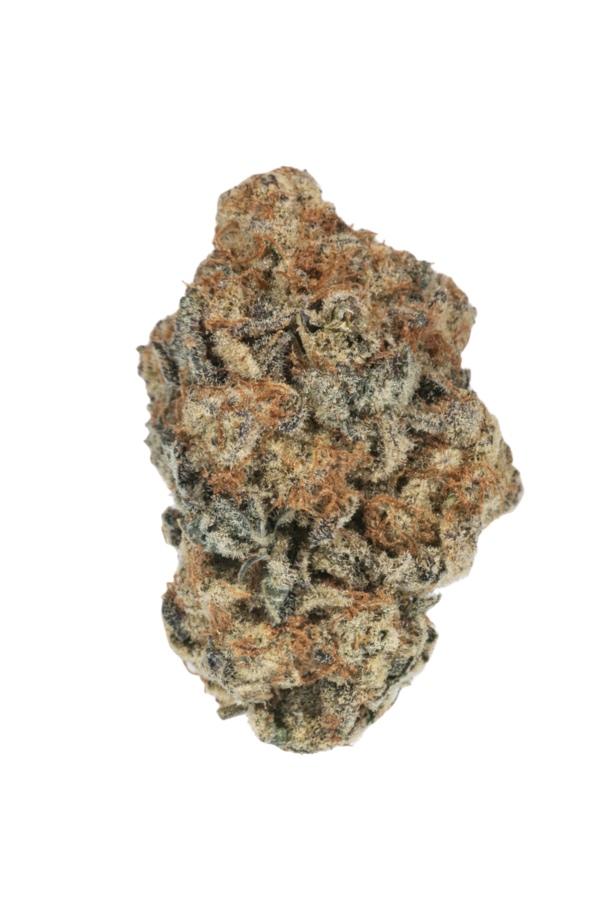 London Poundcake indica cannabis | Cannibisters Cape Town