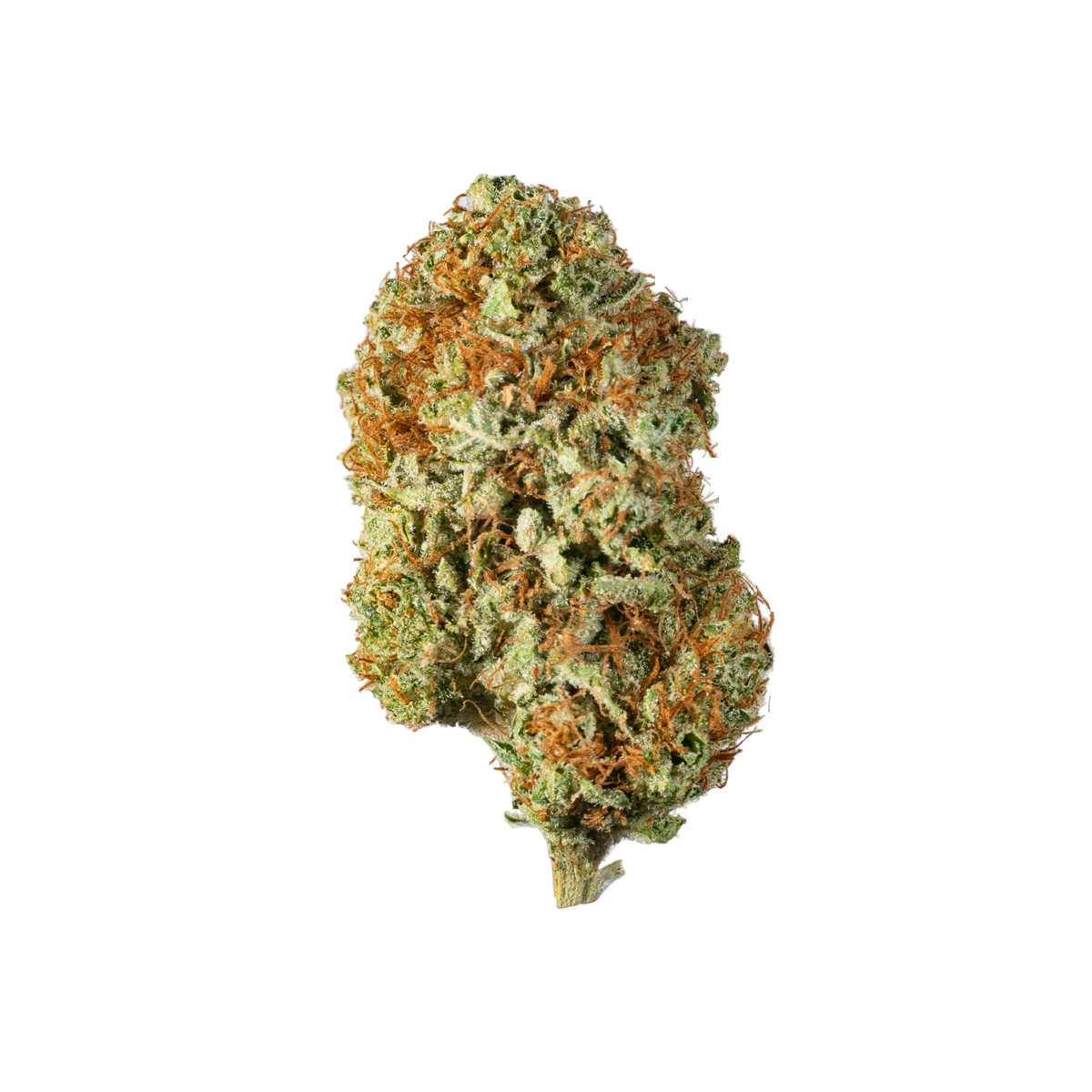Mad Ghost - Cannibisters Limited Collection