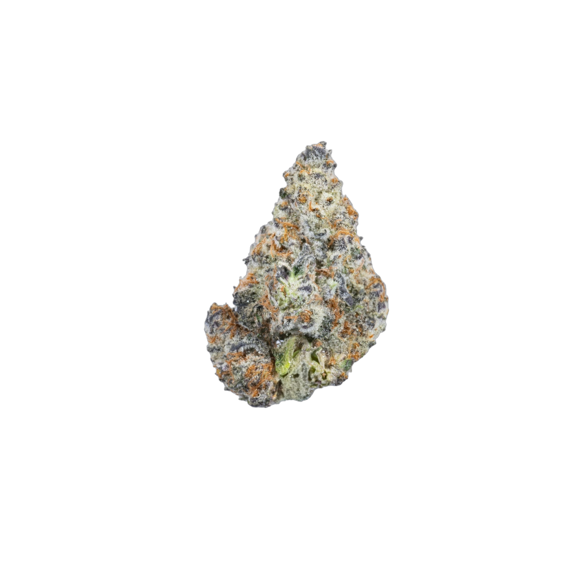 Madam Cookies cannabis flower bud