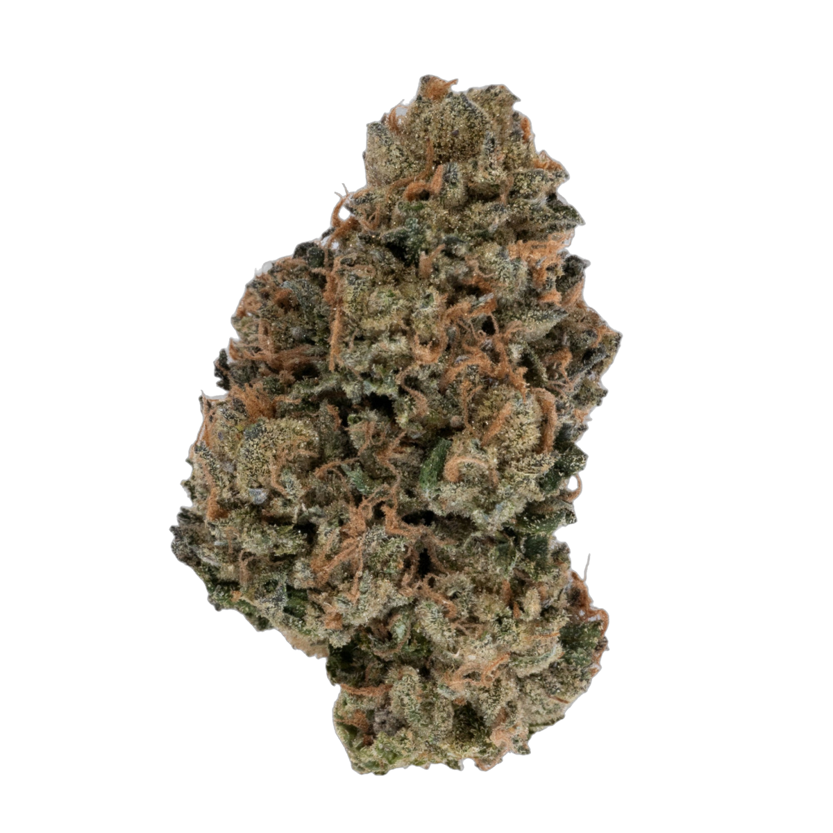 Malibu Marker cannabis flower bud