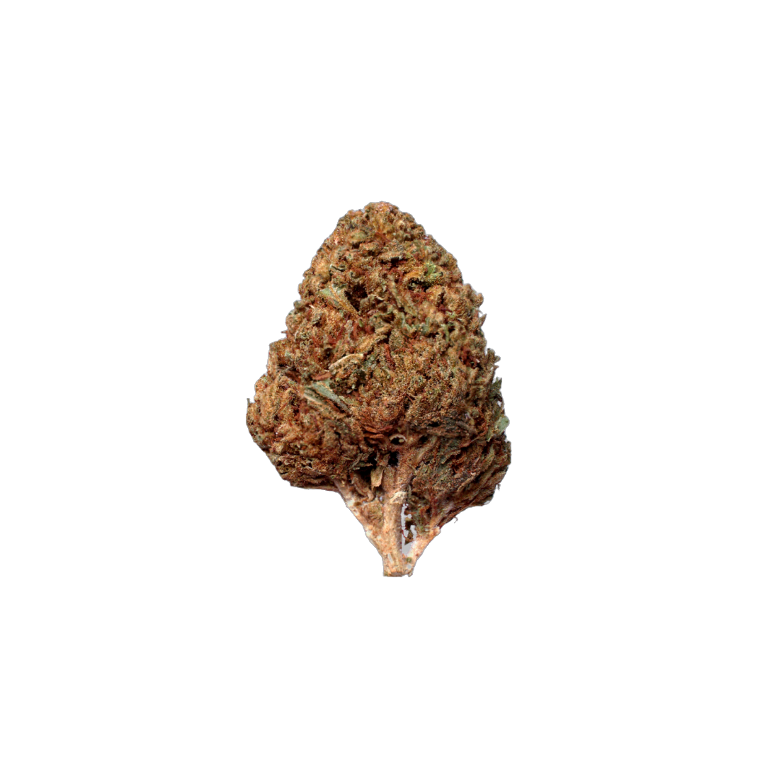 Mandarin Mints (Organic Living Soil) cannabis flower bud