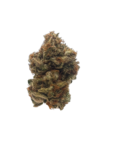 Mandolin Rain cannabis flower bud