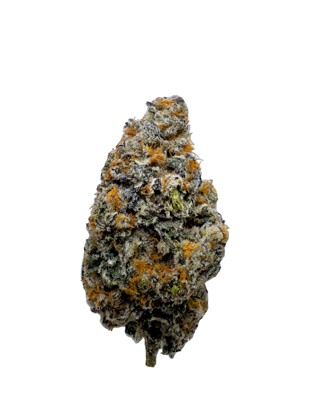 Mike Secret Sauce cannabis flower bud