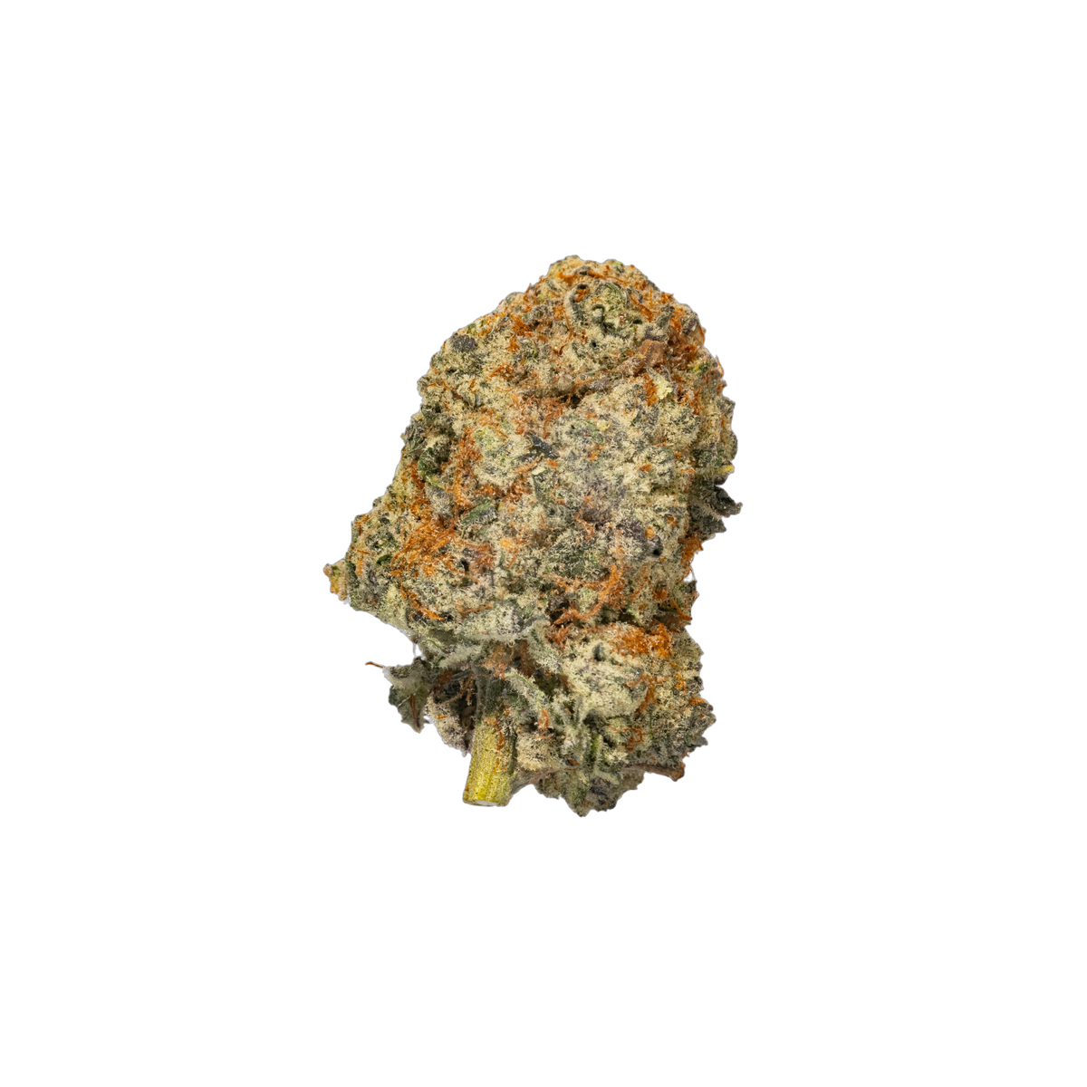 Milk Bottles cannabis flower bud