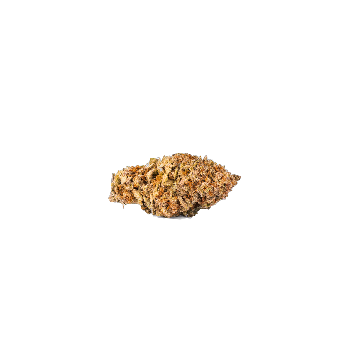 Mimosa Evo cannabis flower bud