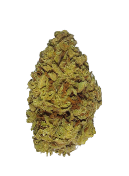 Mimosa (Organic Living Soil) cannabis flower bud